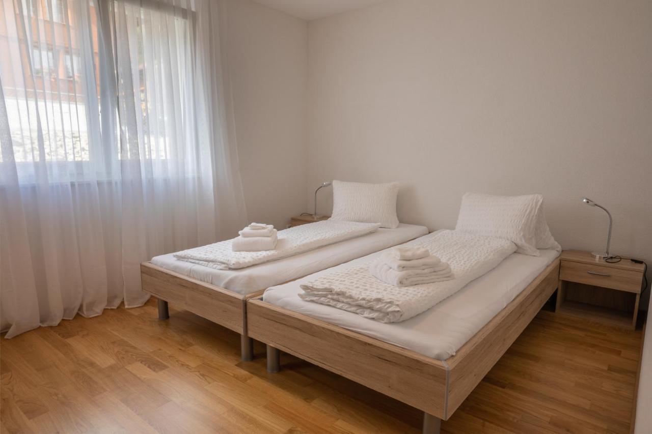 Moench Apartment - Aare Jungfrau Ag Вилдерсвил Екстериор снимка