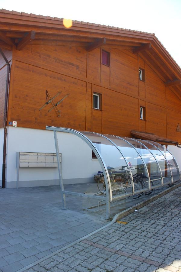 Moench Apartment - Aare Jungfrau Ag Вилдерсвил Екстериор снимка